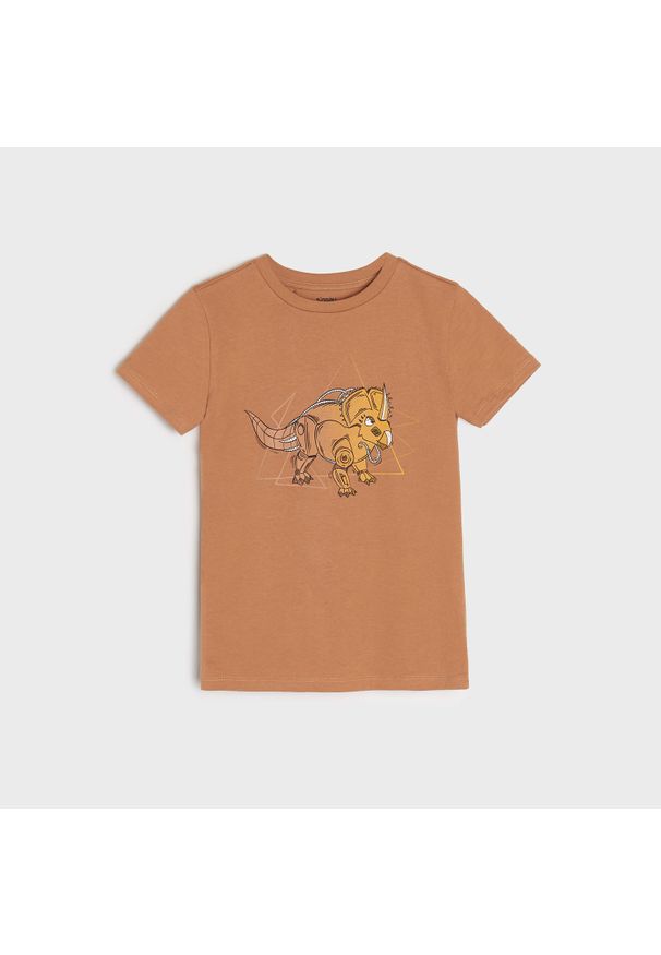 Sinsay - Koszulka z nadrukiem - Pomarańczowy. Kolor: pomarańczowy. Wzór: nadruk
