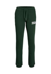 Jack&Jones Junior Spodnie dresowe 12179798 Zielony Slim Fit. Kolor: zielony. Materiał: syntetyk, bawełna