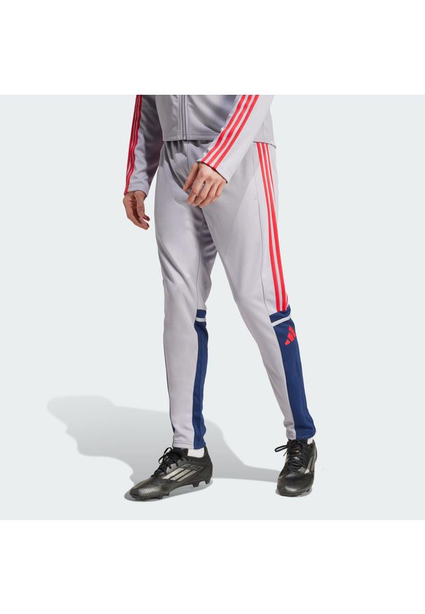 Adidas - Spodnie Squadra 25 Training. Kolor: niebieski, czerwony, szary, wielokolorowy. Materiał: materiał, dresówka. Sport: piłka nożna, fitness