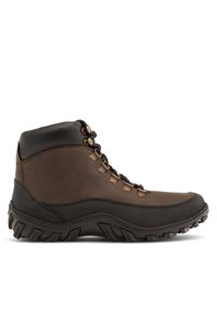 Trzewiki Lasocki. Kolor: brązowy #1