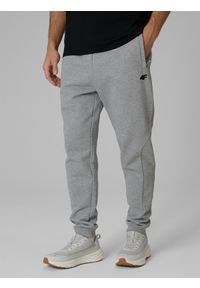 4f - 4F Spodnie dresowe joggery męskie - szare XL. Kolor: szary. Materiał: dresówka #2