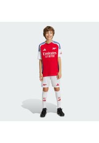 Adidas - Szorty Arsenal 24/25 Home Kids. Kolor: biały. Materiał: materiał #1