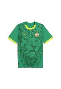 Puma - Męska koszulka wyjazdowa Senegal 2025 PUMA Sport Green Electric Lime. Kolor: zielony. Wzór: aplikacja