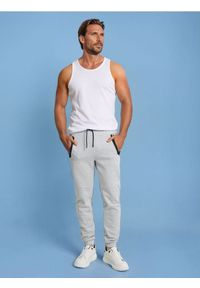 Sinsay - Joggery dresowe - szary. Kolor: szary. Materiał: dresówka #1