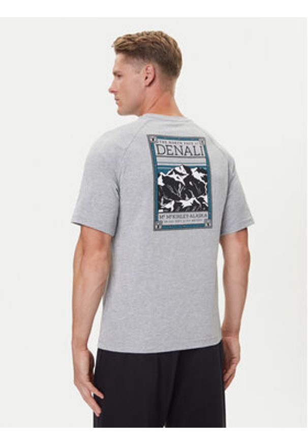 The North Face T-Shirt NF0A87NU Szary Regular Fit. Kolor: szary. Materiał: bawełna