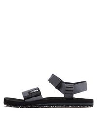 The North Face Sandały Skeena Sandal NF0A46BGF9L1 Szary. Kolor: szary. Materiał: materiał #2