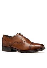 Geox Półbuty U Walk Pleasure F U46H8B 00043 C6610 Brązowy. Kolor: brązowy. Materiał: skóra #4