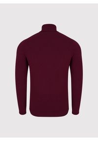 Pako Lorente - PAKO LORENTE - olf męski w bordowym kolorze. Typ kołnierza: golf. Kolor: szary, brązowy, czerwony, zielony. Materiał: nylon, wiskoza. Sezon: jesień #3