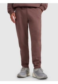 4f - 4F Spodnie dresowe męskie - brązowe XXL. Kolor: brązowy. Materiał: dresówka #2