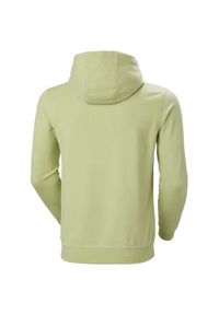 Bluza sportowa męska Helly Hansen Hh Box Hoodie. Typ kołnierza: kaptur. Kolor: wielokolorowy
