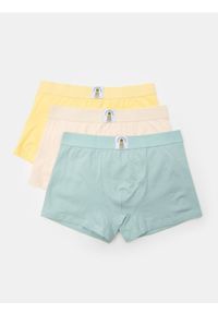 Sinsay - Bokserki Classic z ozdobną owocową naszywką 3 pack - wielobarwny. Wzór: aplikacja