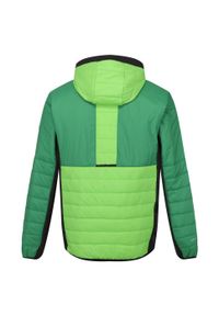 Regatta - Męska Kurtka Trutton II Baffled Padded Jacket. Kolor: zielony