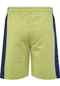 Szorty dziecięce Hummel Rush Block. Okazja: na uczelnię. Kolor: zielony. Styl: sportowy. Sport: joga i pilates