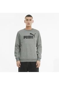 Bluza Puma ESS Big Logo Crew, Mężczyźni. Kolor: szary. Materiał: materiał, bawełna