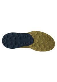 Buty trailowe Dynafit Ultra 50. Kolor: zielony, niebieski, wielokolorowy