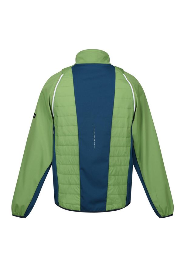 Regatta - Męska Kurtka Hybrydowa Steren II Softshell. Kolor: zielony, niebieski, żółty, wielokolorowy. Materiał: softshell