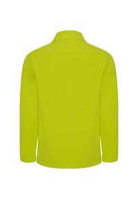 ROLY - Męska Kurtka Soft Shell Nebraska. Kolor: żółty, wielokolorowy, zielony