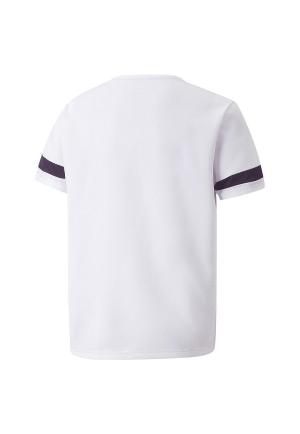 Koszulka dla dzieci Puma teamRISE Jersey Jr. Kolor: biały, wielokolorowy, czarny. Materiał: poliester. Sport: piłka nożna