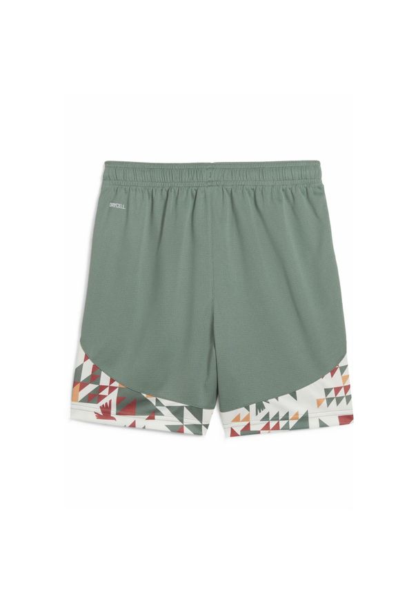 Puma - Młodzieżowe szorty Palermo F.C. 24/25 PUMA Eucalyptus Green. Kolor: biały, wielokolorowy, zielony