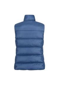 Regatta - Damska Kamizelka Dwustronna Yewbank. Kolor: niebieski, szary, wielokolorowy. Sport: turystyka piesza #2