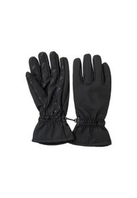 Rękawice Whistler Basil. Kolor: czarny. Sezon: zima. Sport: narciarstwo #1
