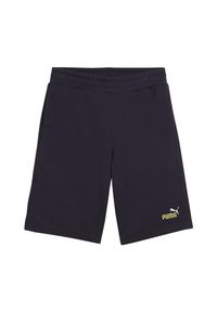 Szorty Puma No. 1 10". Kolor: niebieski. Długość: krótkie. Sezon: lato #1