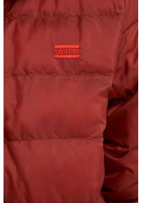 Levi's® - Levi's kurtka damska kolor bordowy przejściowa. Okazja: na spotkanie biznesowe, na co dzień. Kolor: czerwony. Materiał: puch. Styl: biznesowy, casual #6
