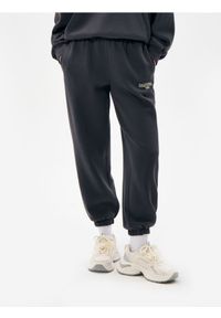 Sinsay - Spodnie dresowe jogger - szary. Kolor: szary. Materiał: dresówka #1