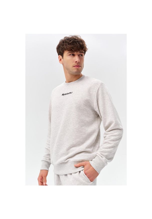 ROUGH RADICAL - Męska bluza dresowa Rough Radical Active Cotton. Kolor: szary. Materiał: dresówka. Sport: fitness