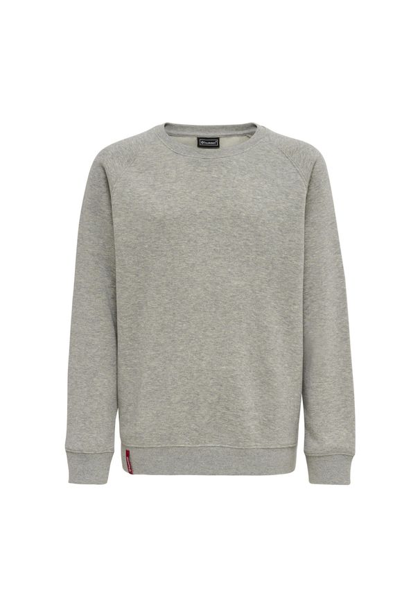 Bluza dziecięca Hummel Red Classic. Kolor: szary. Sport: joga i pilates