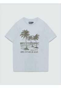 Big-Star - Koszulka męska z kontrastowym nadrukiem błękitna Omer 400. Okazja: na co dzień. Kolor: niebieski. Materiał: materiał, bawełna. Wzór: nadruk. Styl: klasyczny, vintage, casual #4