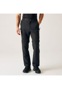 Regatta - Męskie spodnie Leeslle Zip Off. Kolor: szary. Materiał: poliester, tkanina. Sport: turystyka piesza #1