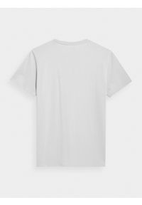 4f - T-shirt regular z nadrukiem męski. Kolor: szary. Materiał: bawełna. Wzór: nadruk