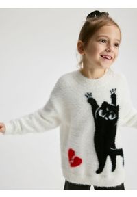 Reserved - Sweter z aplikacją - wielobarwny. Materiał: wiskoza, dzianina. Wzór: aplikacja #1