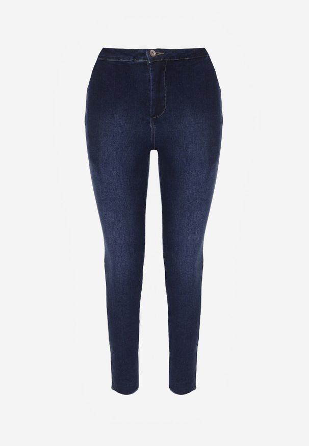 Renee - Niebieskie Jeansy Skinny z Postrzępionymi Krawędziami Janitha. Kolor: niebieski. Wzór: aplikacja