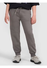 4f - 4F Spodnie dresowe joggery chłopięce - szare 158 (12-13 lat). Okazja: na co dzień. Kolor: szary. Materiał: dresówka. Wzór: ze splotem, nadruk, napisy, gładki. Sezon: lato. Styl: młodzieżowy, sportowy, casual #2
