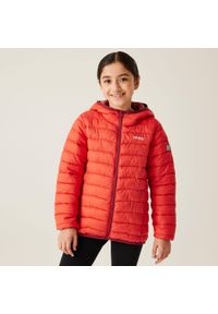 Regatta - Marizion Kids Water Repellent Active Hooded Baffled Jacket Jacket. Kolor: czerwony. Sport: turystyka piesza #1