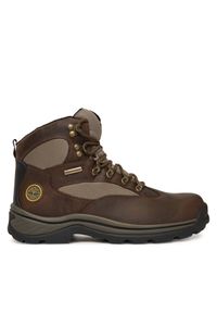 Trekkingi Timberland. Kolor: brązowy. Sport: turystyka piesza