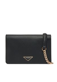 Aldo Torebka Talaegyn 13989675 Czarny. Kolor: czarny. Materiał: skórzane