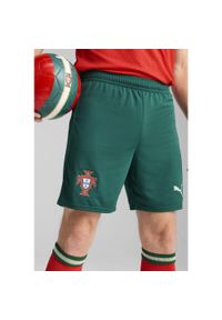 Puma - Męskie szorty Portugalia 2025 PUMA Blessing Green Sugared Almond Beige. Kolor: wielokolorowy, beżowy, zielony