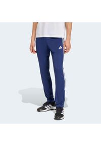 Adidas - Spodnie fitness męskie ADIDAS. Kolor: niebieski. Materiał: skóra, materiał. Technologia: ClimaCool (Adidas). Sport: fitness #1