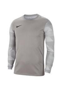 Nike - Męska Koszulka Bramkarska Park IV DriFIT Z Długim Rękawem. Kolor: szary. Długość rękawa: długi rękaw. Długość: długie