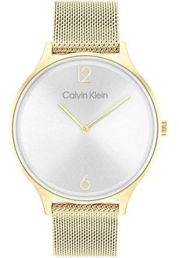 Calvin Klein - Zegarek Damski CALVIN KLEIN Timeless Mesh 25200003 + BOX. Materiał: mesh