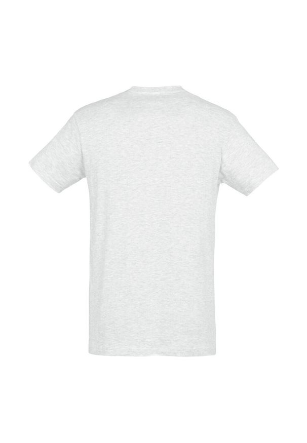 SOL'S - Koszulka Regent Dla Dorosłych Unisex. Kolor: szary. Sport: turystyka piesza