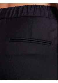 Fabiana Filippi Spodnie materiałowe PADP02W361 Granatowy Regular Fit. Kolor: niebieski. Materiał: materiał, wełna #3