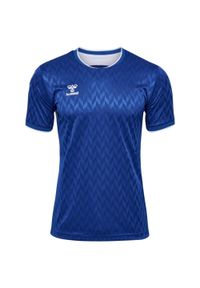 Koszulka Hummel Legend. Kolor: niebieski. Sport: piłka nożna #1