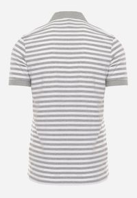 Born2be - Szara Bawełniana Koszulka Polo w Paski w Stylu Casual Elunilla. Okazja: na co dzień. Typ kołnierza: polo. Kolor: szary. Materiał: bawełna. Wzór: paski. Styl: casual #2