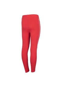 4f - Legginsy Dziewczęce HJZ22 JLEG004. Kolor: czerwony