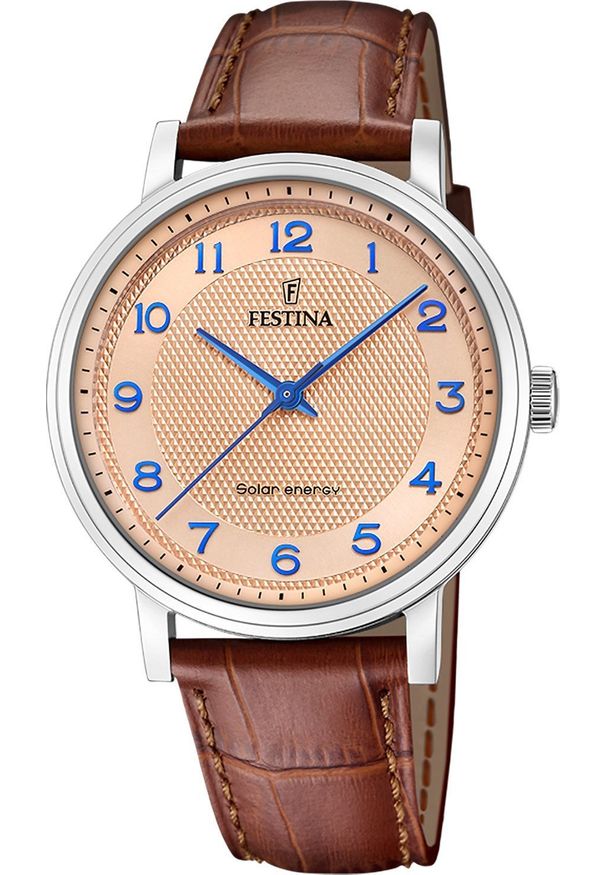Zegarek Festina Zegarek męski Festina F20660-2 brązowy. Kolor: brązowy