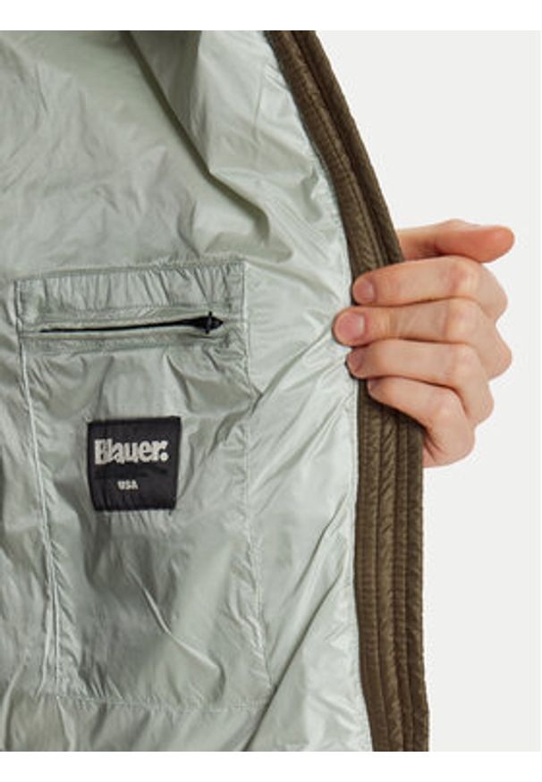 Blauer Kurtka puchowa 24WBLDC03051 Brązowy Regular Fit. Kolor: brązowy. Materiał: syntetyk